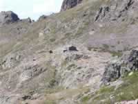 Korsika Bild 115